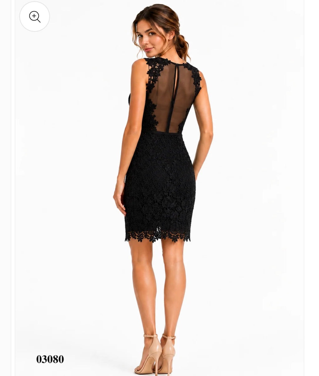 Knee Length Lace Detailed Dress