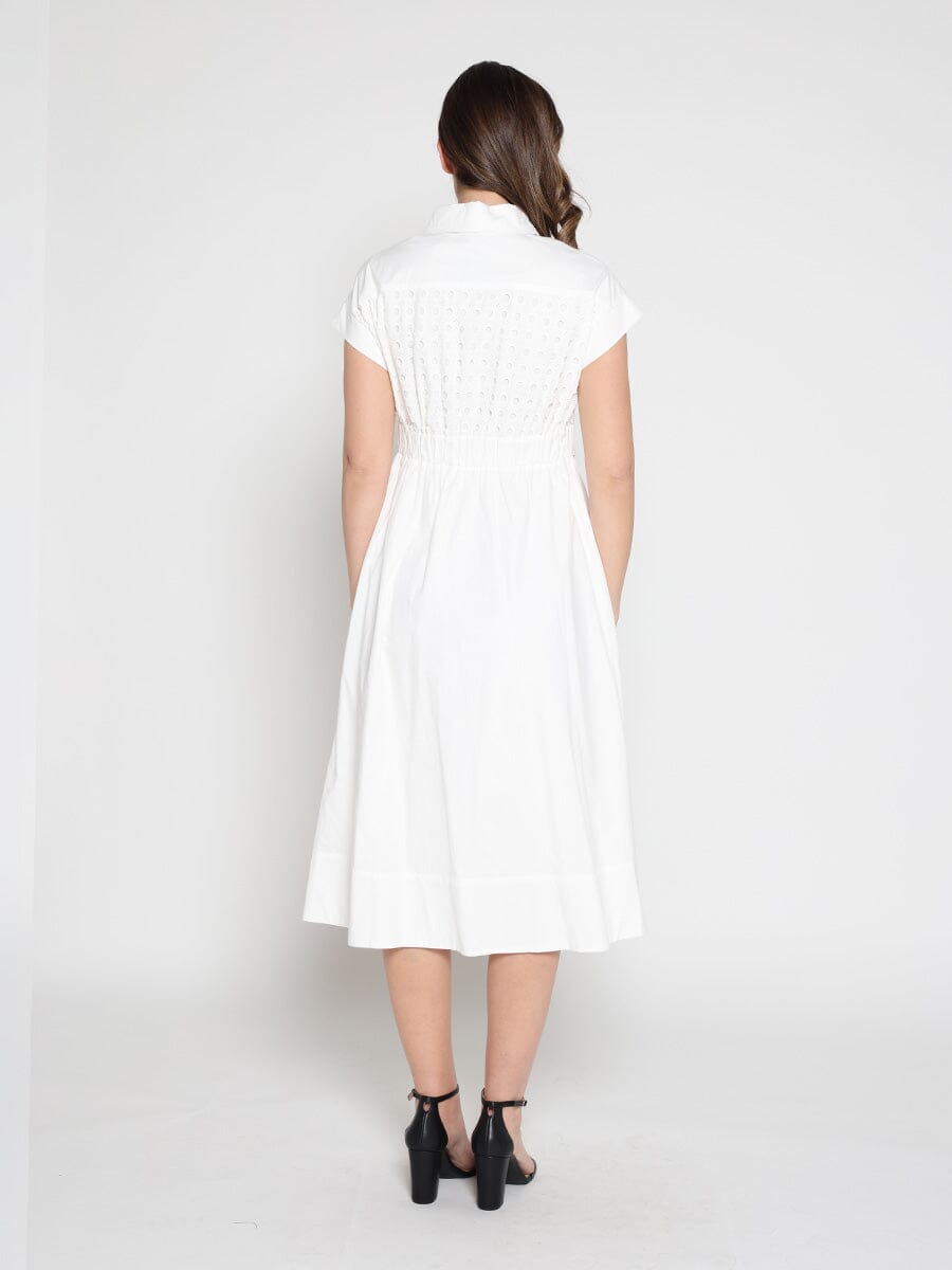 Eyelet And Solid Fabric Belt Dress