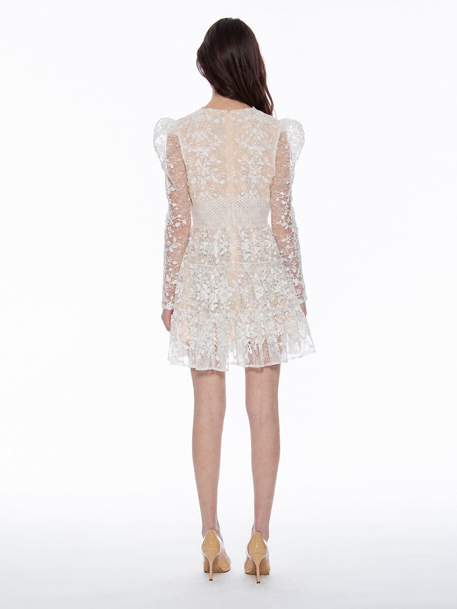 Gracia Fashion Women's Flowery Embroidered Lace V-Neck Mesh Mini Dress