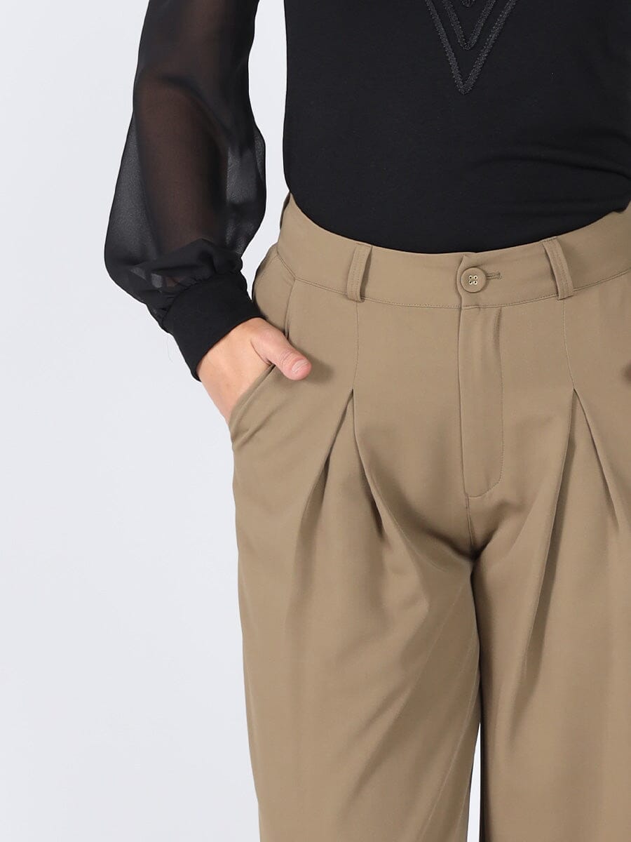 Pleated Wide Leg Pants
