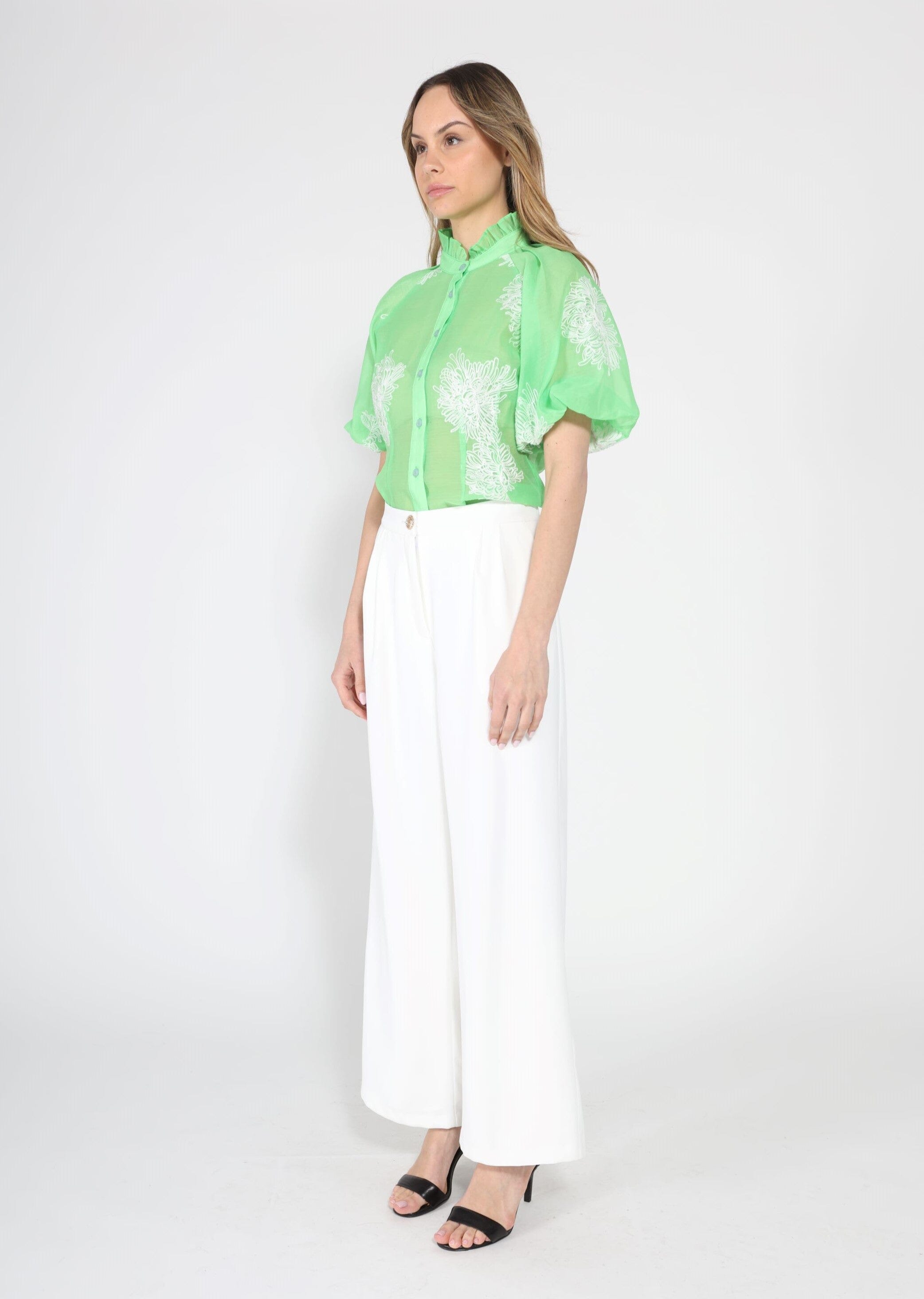 Puff sleeve embroidered organza top