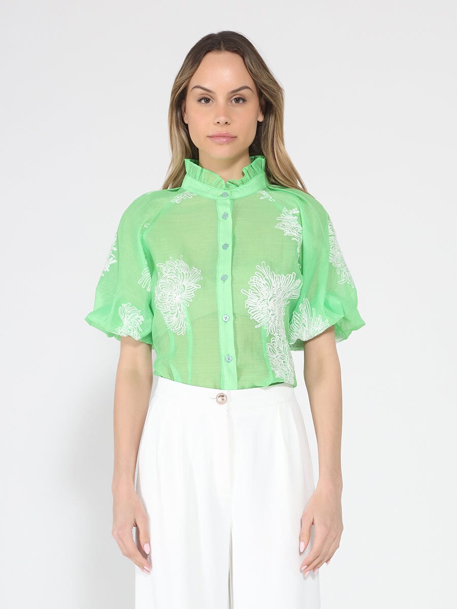 Puff sleeve embroidered organza top