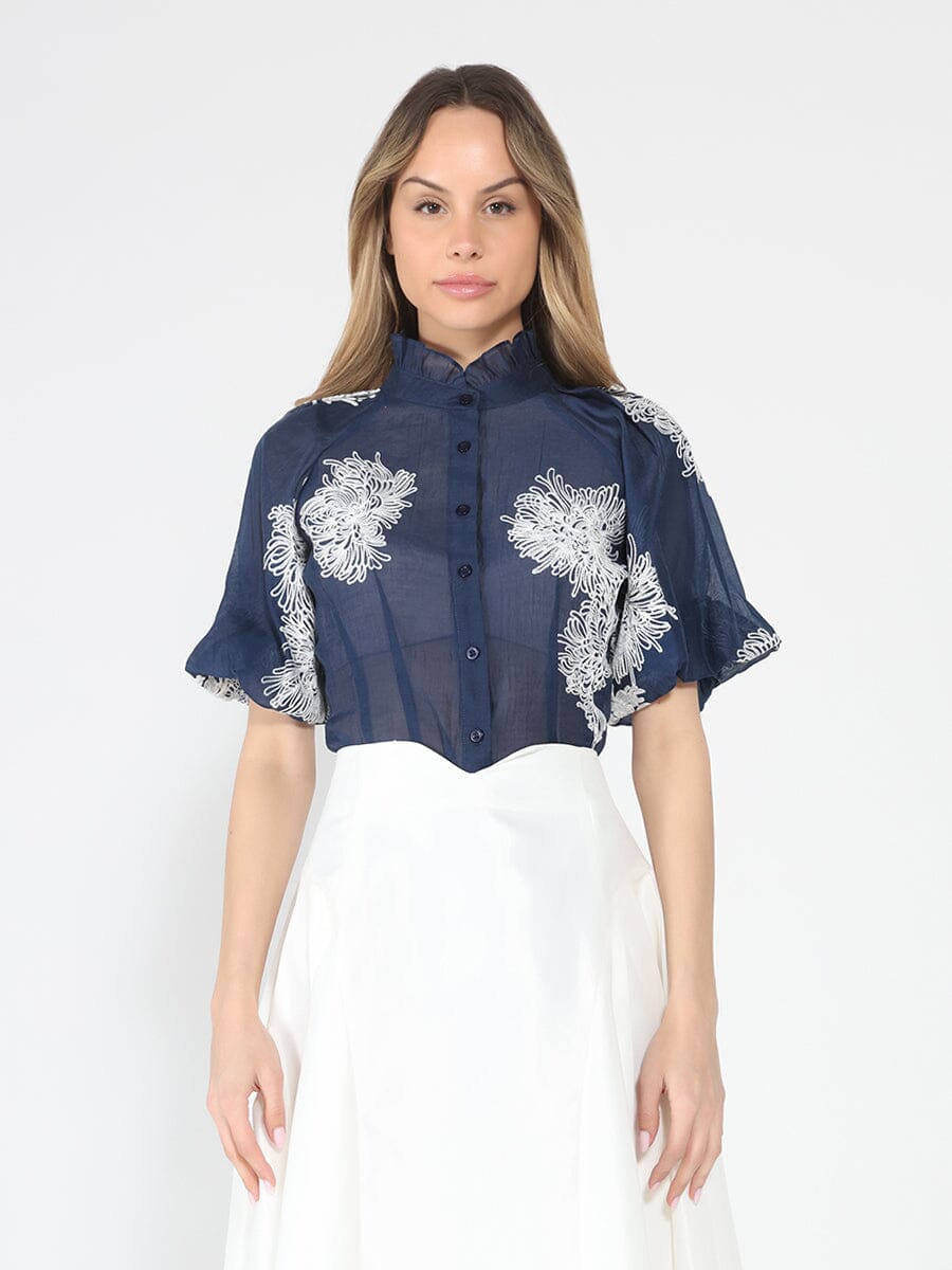 Puff sleeve embroidered organza top