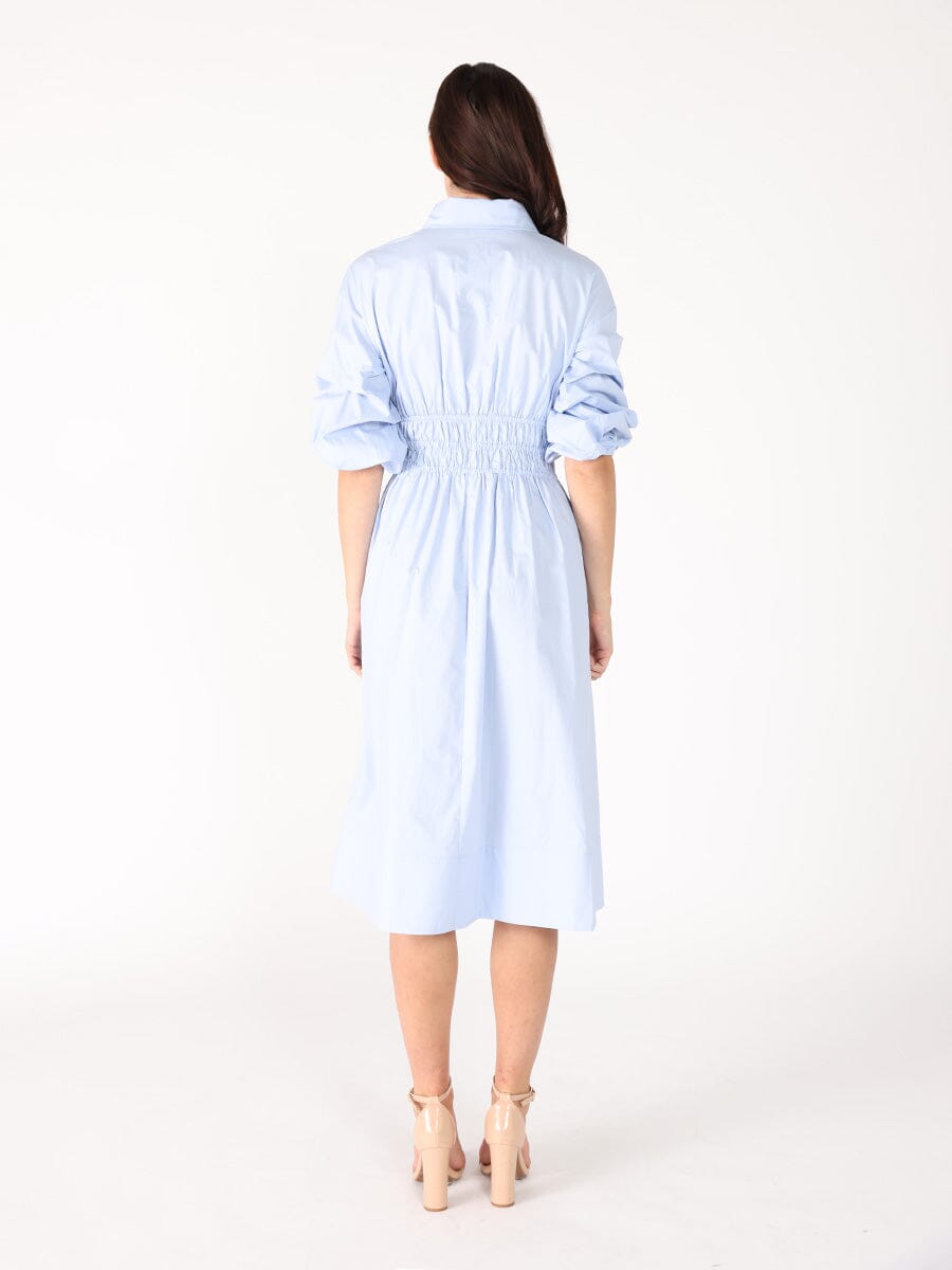 Ruched Puff Sleeve & Waist A Line Midi Dress