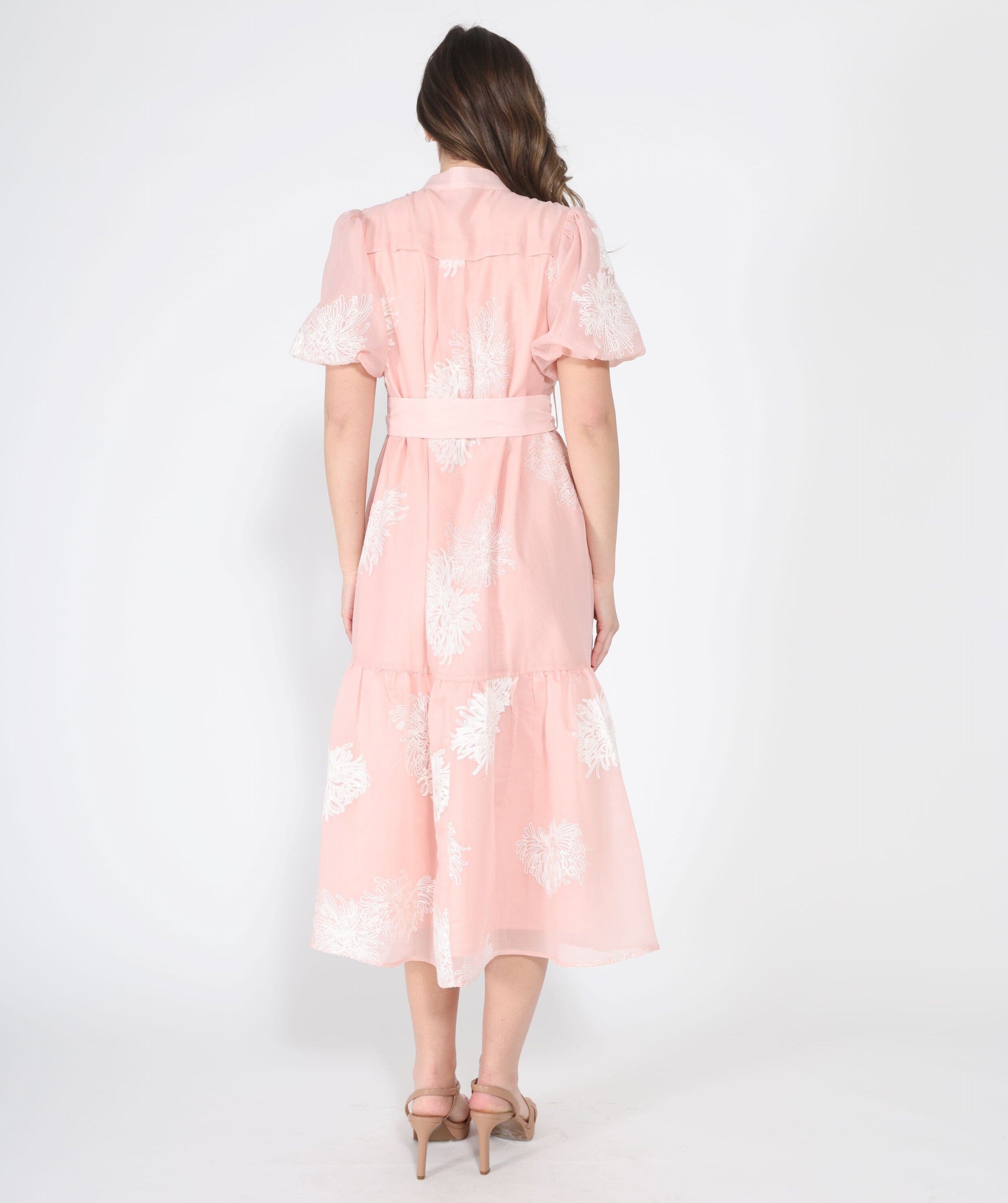 Short Puff Sleeve Embroidery Detail Dress